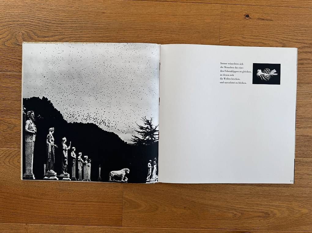 Libri: Fotobuch Uta von Witzleben - Das Leben ein Wagnis – Usato da Bachenbülach venduto da photomoments 2