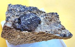 Mineral - Rarität aus dem Binntal. Rutil Pseudomorphose 3cm