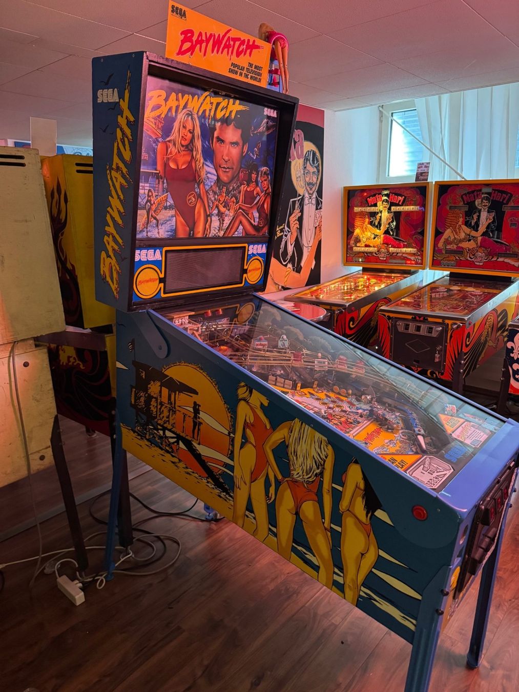 Flipper: Flipper Baywatch Sega 1995 – Usato da Horgen venduto da Herb69 5