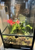 Terrarium 40x40x90, fixfertig und neu eingerichtet 