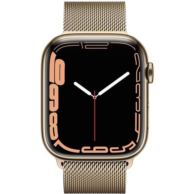 Applewatch 7 Edelstahl 45mm | Kaufen auf Ricardo