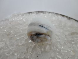Opal