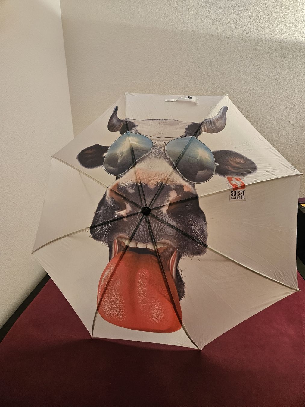Parapluies: Picnic/Garden Umbrella – Neuf (Voir description) à Basel par yat_r699 5