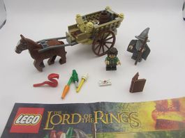 Lego Lord of the Rings Die Ankunft von Gandalf 9469
