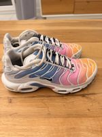 Baskets Nike Air Max Plus TN dégradé taille 38 état usagé
