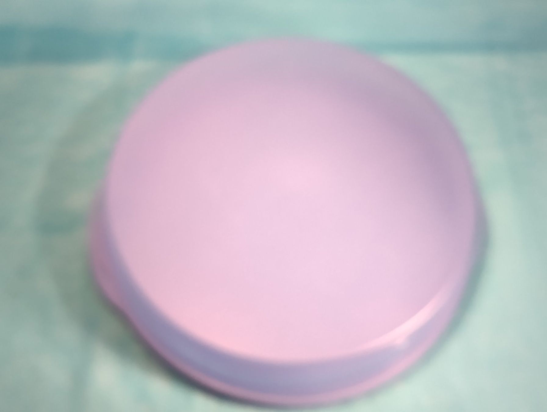 Tupperware Contenitori & Simili: Tupperware Tortenglocke – Usato da Bellach venduto da JingleCherry 1