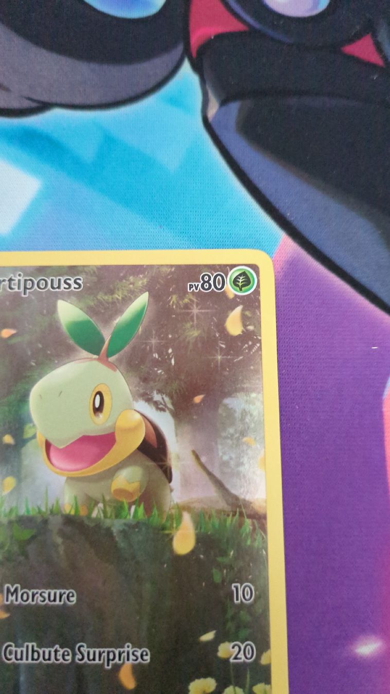 Pokémon Carte collezionabili: Carte Tortipouss - Zenith Supreme – Usato da Genève venduto da ims1 3