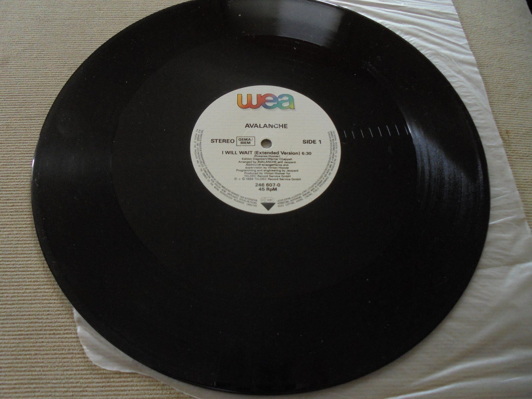 Dischi in vinile: AVALANCHE " I will wait " Maxi 1989 (VG+) – Usato da Crissier venduto da Promopost 3