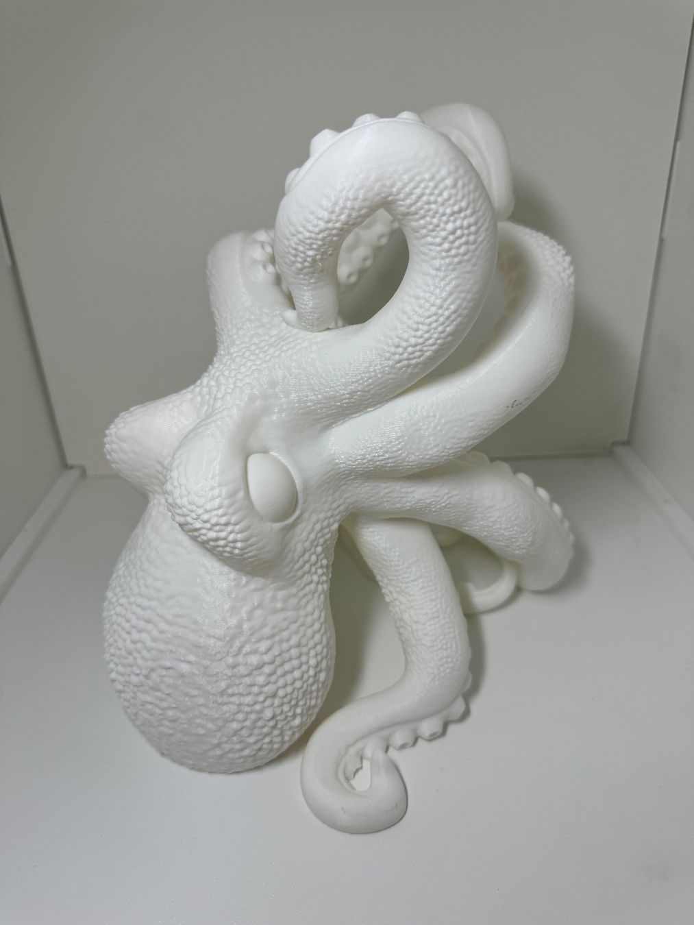 Portabottiglie: Pieuvre Octopus Oktopus support pour bouteille – Nuovo (secondo la descrizione) da Vicques venduto da PAMB3D