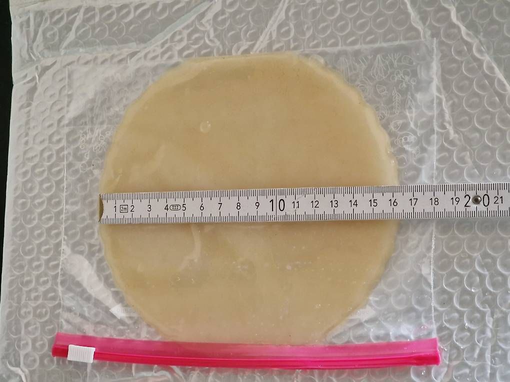 Aliments & Spécialités: Riesig Kombucha SCOBY (Grüntee) – D'occasion à Zürich par sdsp 2