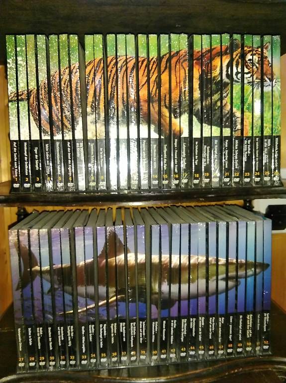 Tutti i DVDs: Tierfilme – Usato da Hofstetten BE venduto da Vikingsrocker1010 1