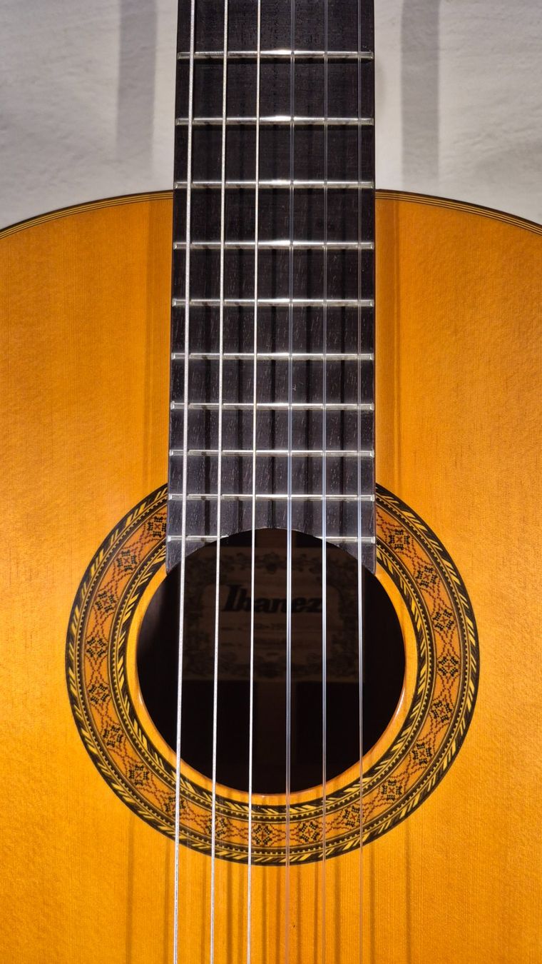 Ibanez Strumenti musicali: Akustik Gitarre Ibanez GA-250S – Usato da Winterthur venduto da NorrSydGuitars 4