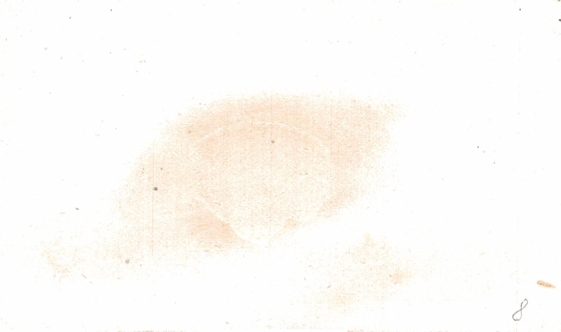 Cartes postales: Werbekärtchen M. Kienle, Tailleur, St. Gallen – D'occasion à Bronschhofen par Astore 1