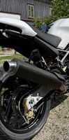 Auspuff Ducati Monster Carbon