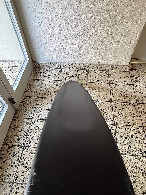 Skis: Wasserski HO – Gebraucht aus Thalwil von Stephan03 4