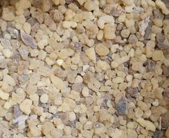 Weihrauch Eritrea Granen 50 Gramm Top Qualität