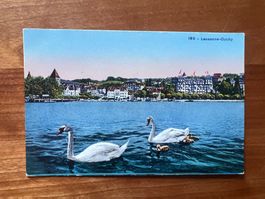 AK ca. 1930  Lausanne-ouchy ungelaufen  (G2581)