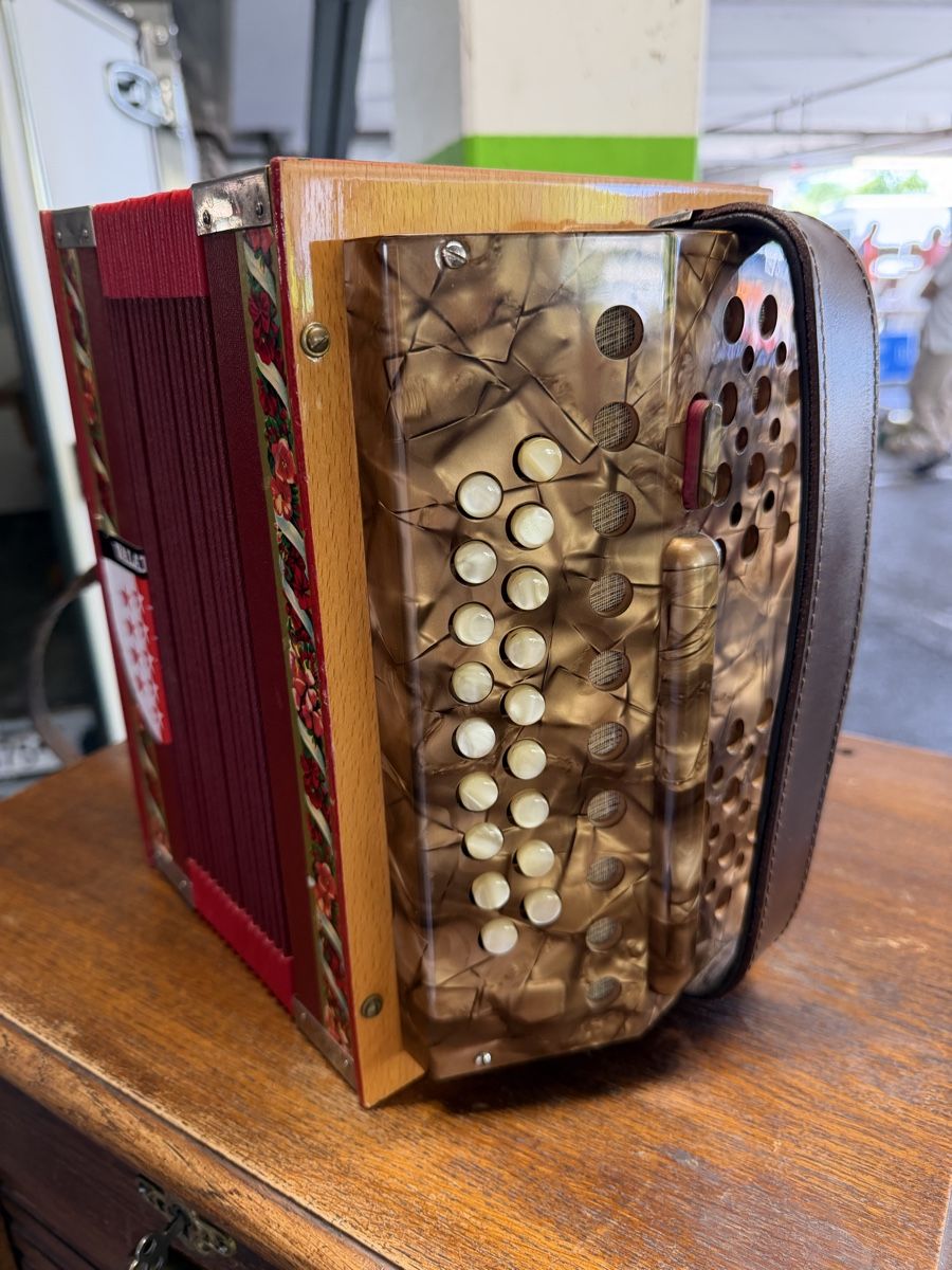 Instruments de musique: Schwyzerörgeli Rud.Stalder – D'occasion à Domdidier par Watch3210 4