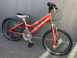 Bicicletta MTB California 20 copertoni nuovi 
