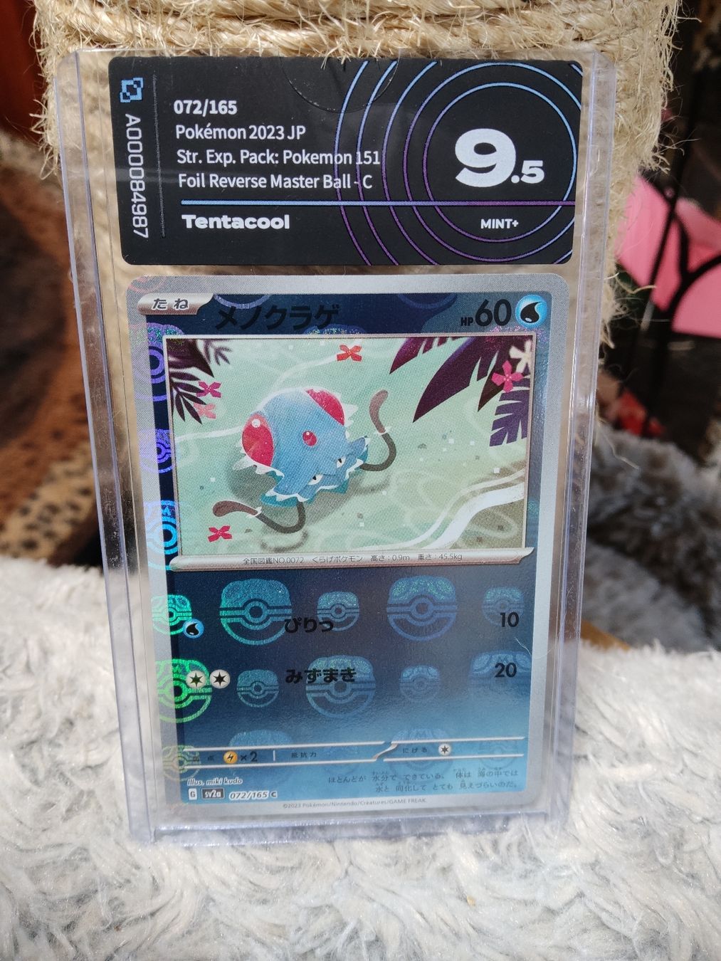 Pokémon Cartes à collectionner: Pokémon 151 Tentacool masterball 072/165 AIgrading 9.5 – Neuf (Voir description) à Vezio par 41181