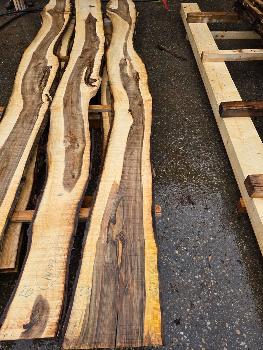 Articoli in legno: Nussbaumbrett Nr. N130 – Nuovo (secondo la descrizione) da Ramsei venduto da Waelchris