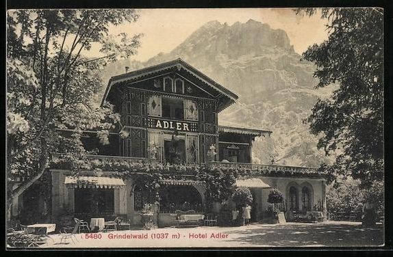 Cartoline postali: AK Grindelwald, Hotel Adler – Usato da Berlin venduto da bartko-reher