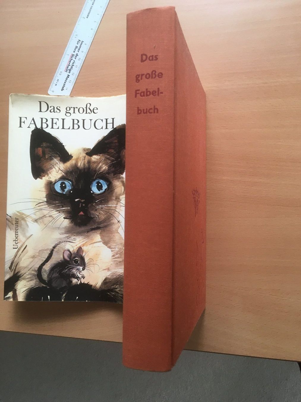 Libri: Das grosse Fabelbuch; verschiedene Autor – Usato da Grenchen venduto da Kogi7 1