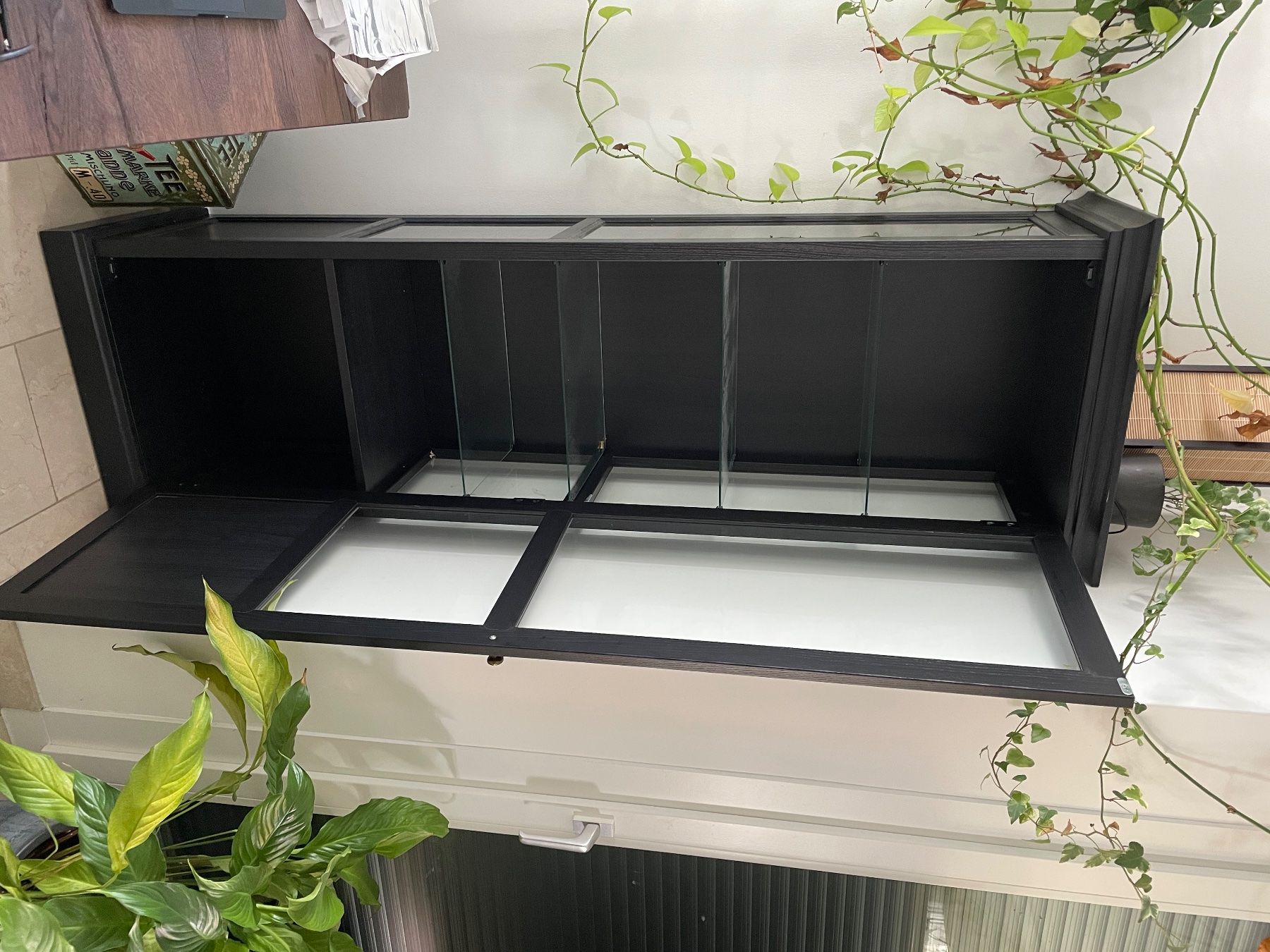 Ikea Vitrines: Glasvitrine – D'occasion à Chur par Papillon404 1