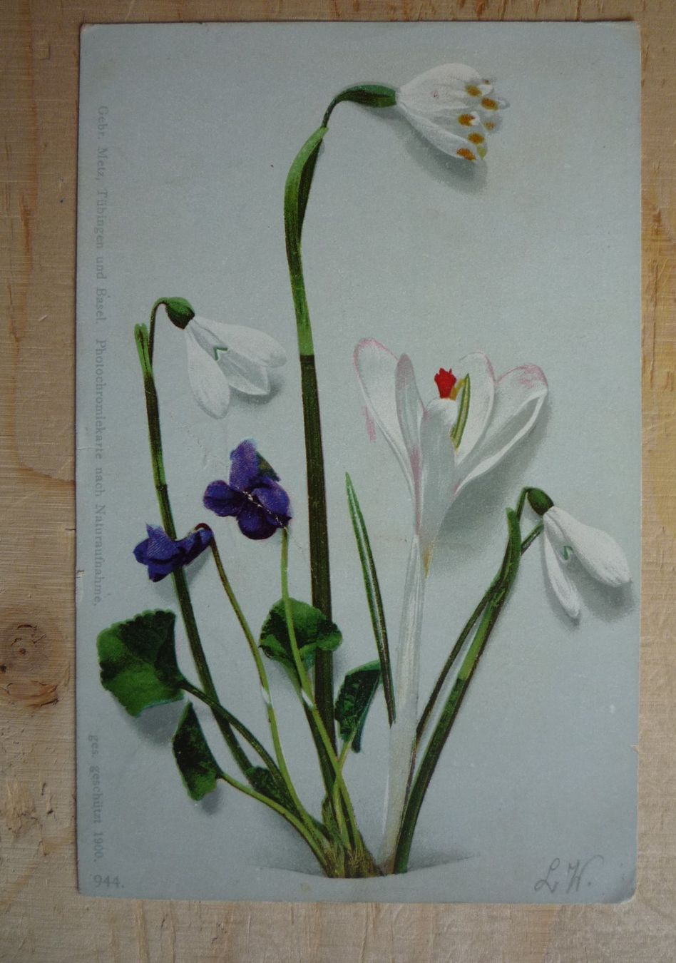 Cartoline postali: Weisse und violette Blumen, 4.VI.00 – Usato da Rieden SG venduto da Brockehuesli