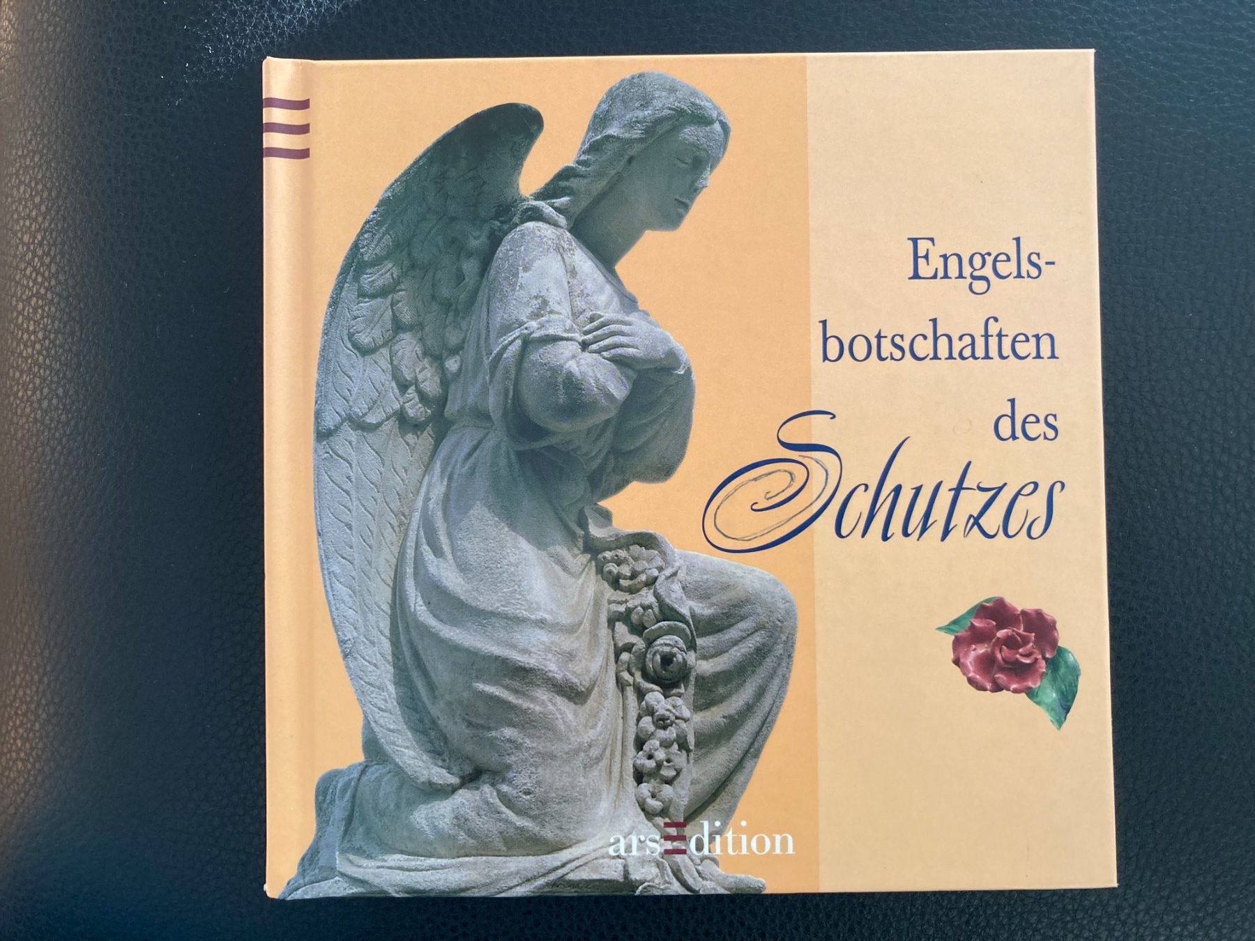 Libri: Engelsbotschaften des  Schutzes   gebundenes Buch – Usato da Subingen venduto da Etageren