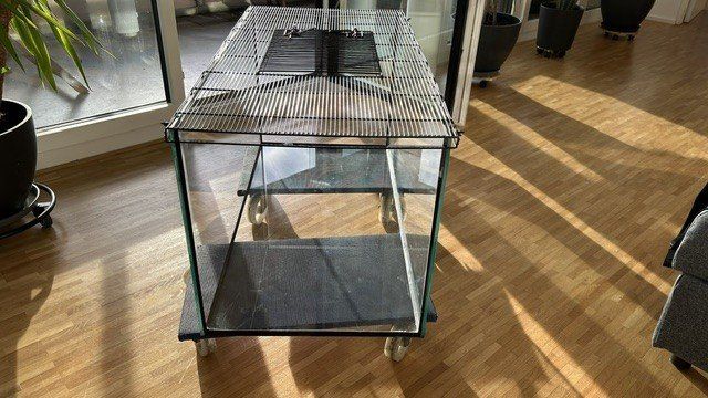 Terrario: Terrarium mit Deckel – Usato da Pratteln venduto da Peter4133 1