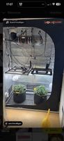 Growsetup komplett Growing 