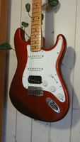 Fernandes Stratocaster 1991 LE-2 Japan