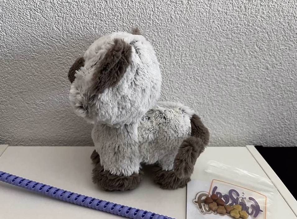 FurReal Giocattoli: Fur Real chat avec laisse – Usato da Martigny venduto da jcj_j2fb 2