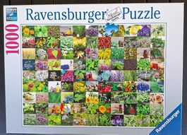 Puzzle Motiv "99 KRÄUTER UND GEWÜRZE"