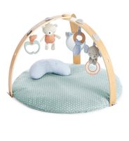 Ingenuity Spielbogen mit Spielmatte