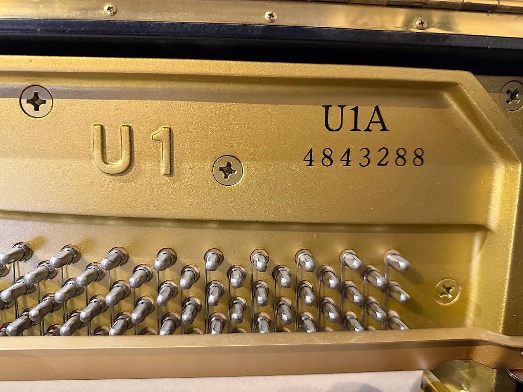 Musikinstrumente: Klavier Yamaha U1 – Gebraucht aus Wauwil von marc_for 2