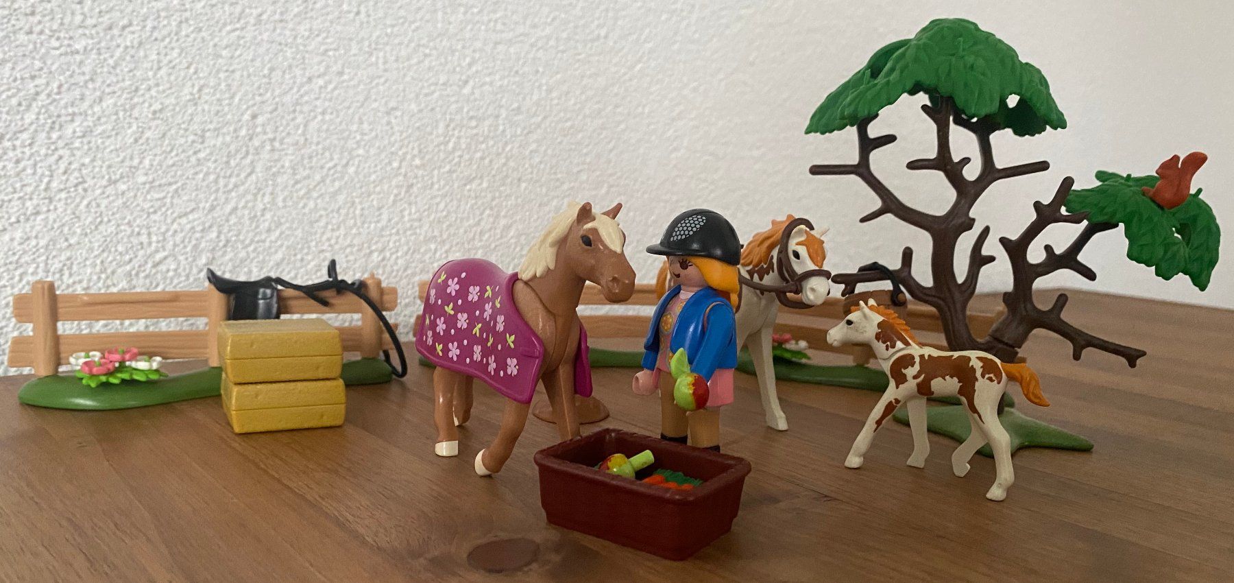 Playmobil Giocattoli: Playmobil Pferdekoppel Nr. 5227 – Usato da Altenrhein venduto da kli_7pwl