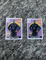 Panini Extra Sticker ceicedo 2 mal