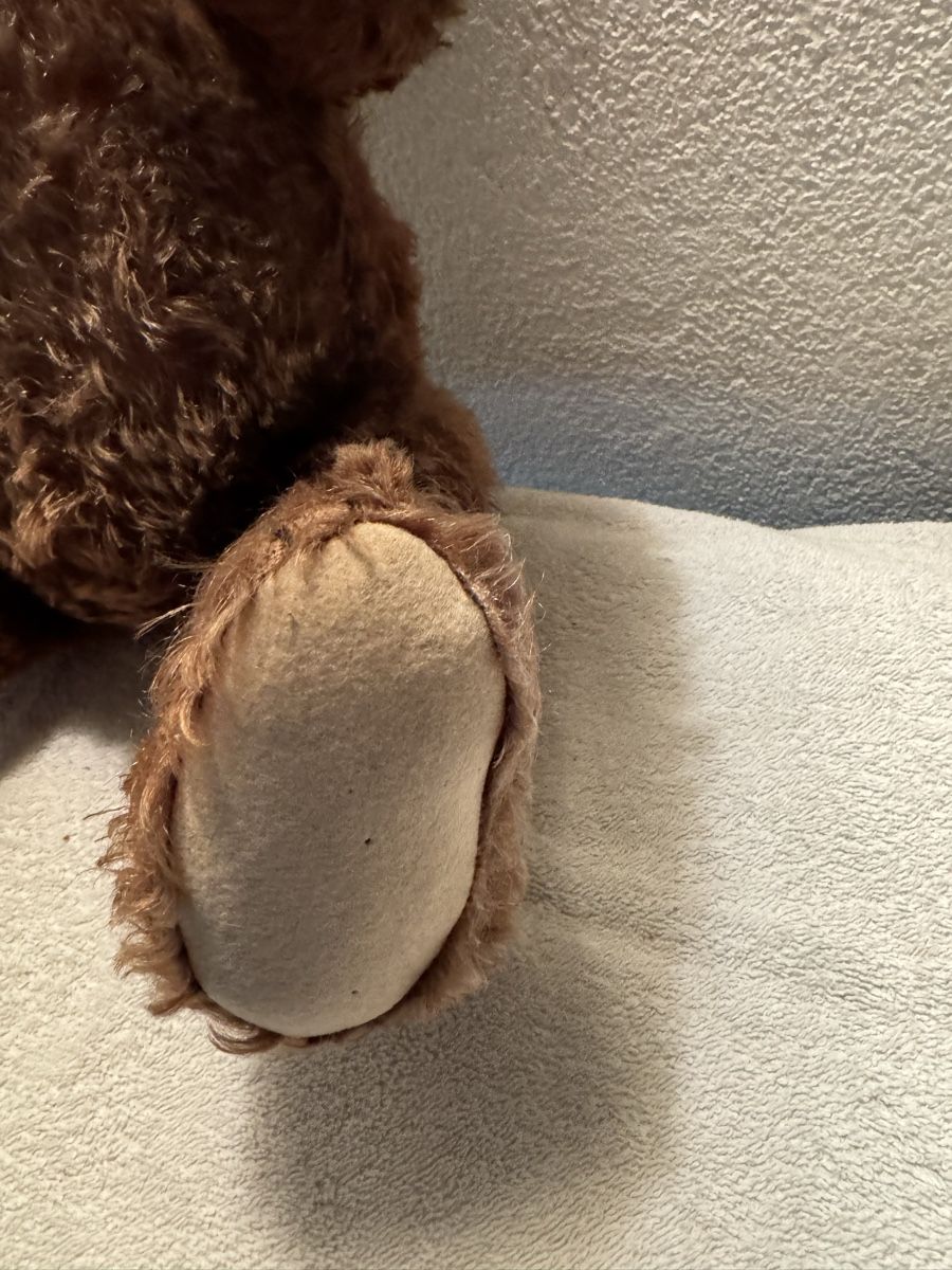 Steiff Giocattoli: Steiff Teddy – Usato da Binningen venduto da kal_5nsj 4