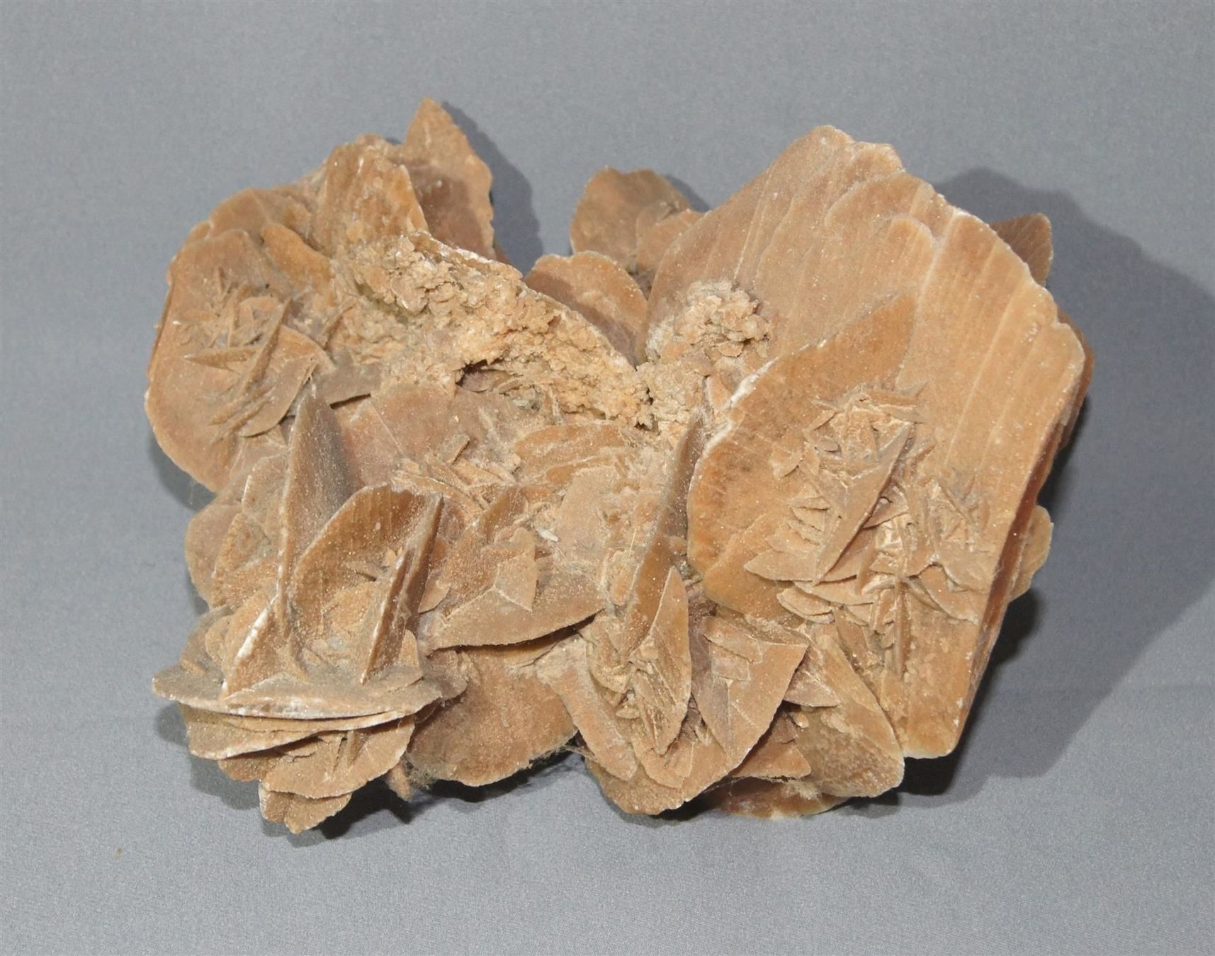 Mineralien & Heilsteine: Beeindruckende, grosse Sandrose – Gebraucht aus Geroldswil von ARTEFACTO 7