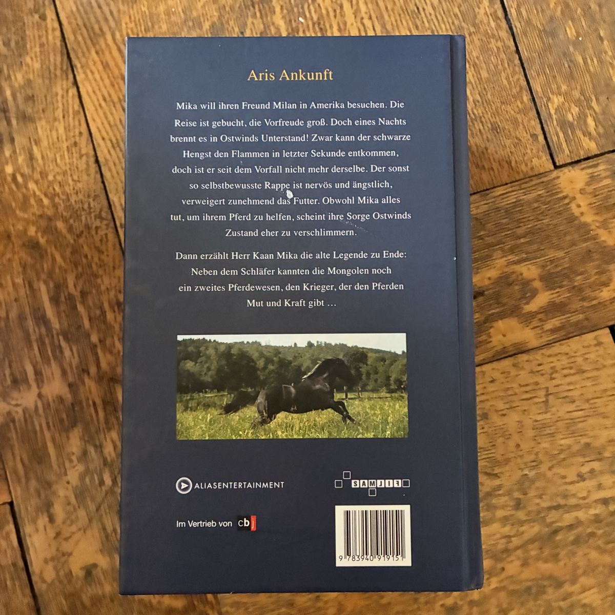 Libri: Ostwind 6 Bände – Usato da Winterthur venduto da bunteperlen 4