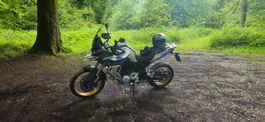 voge 900