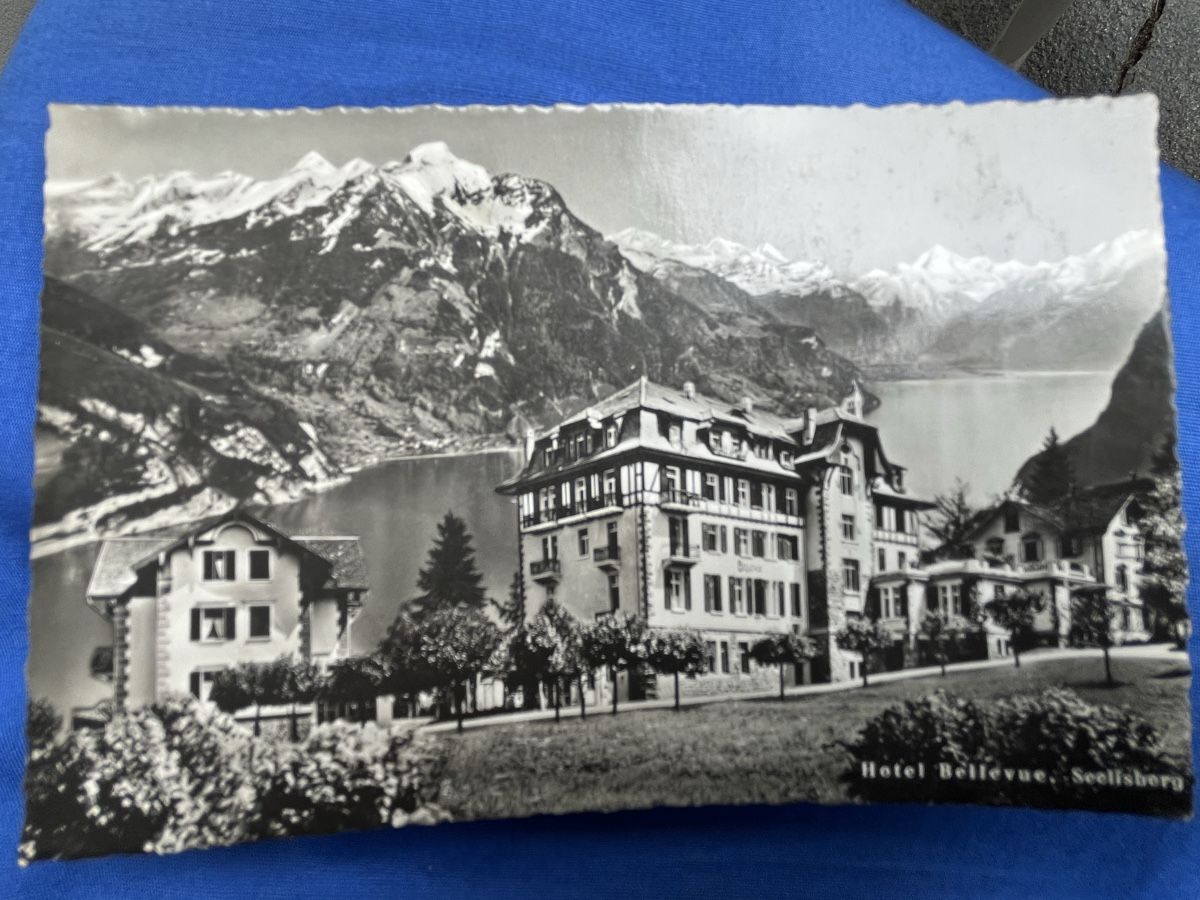 Cartes postales: Ak Hotel Bellevue Seelisberg – D'occasion à Romanshorn par Apfelschuss