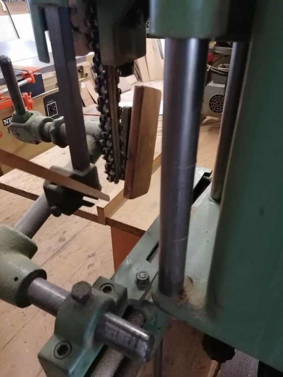 52+ Lochmaschine Zierpflanzen Pikierlöcher, Zu allererst zeigen sich