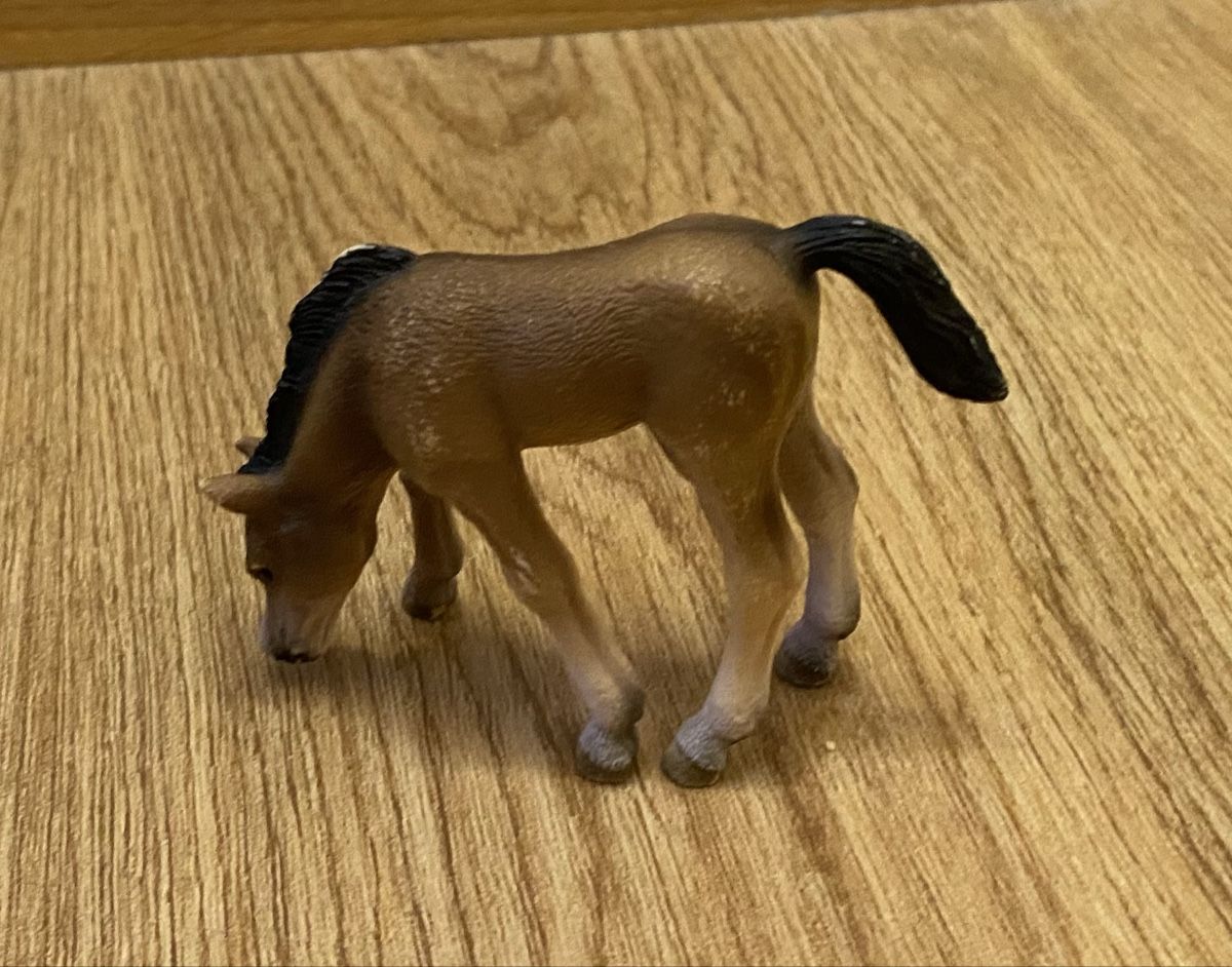 Schleich Giocattoli: Schleich Fohlen braun grasend – Usato da Flawil venduto da Vera44 1