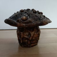 Gnoko-Pilz, ca. 13cm