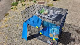 Cage gerbille hamster - petits rongeurs