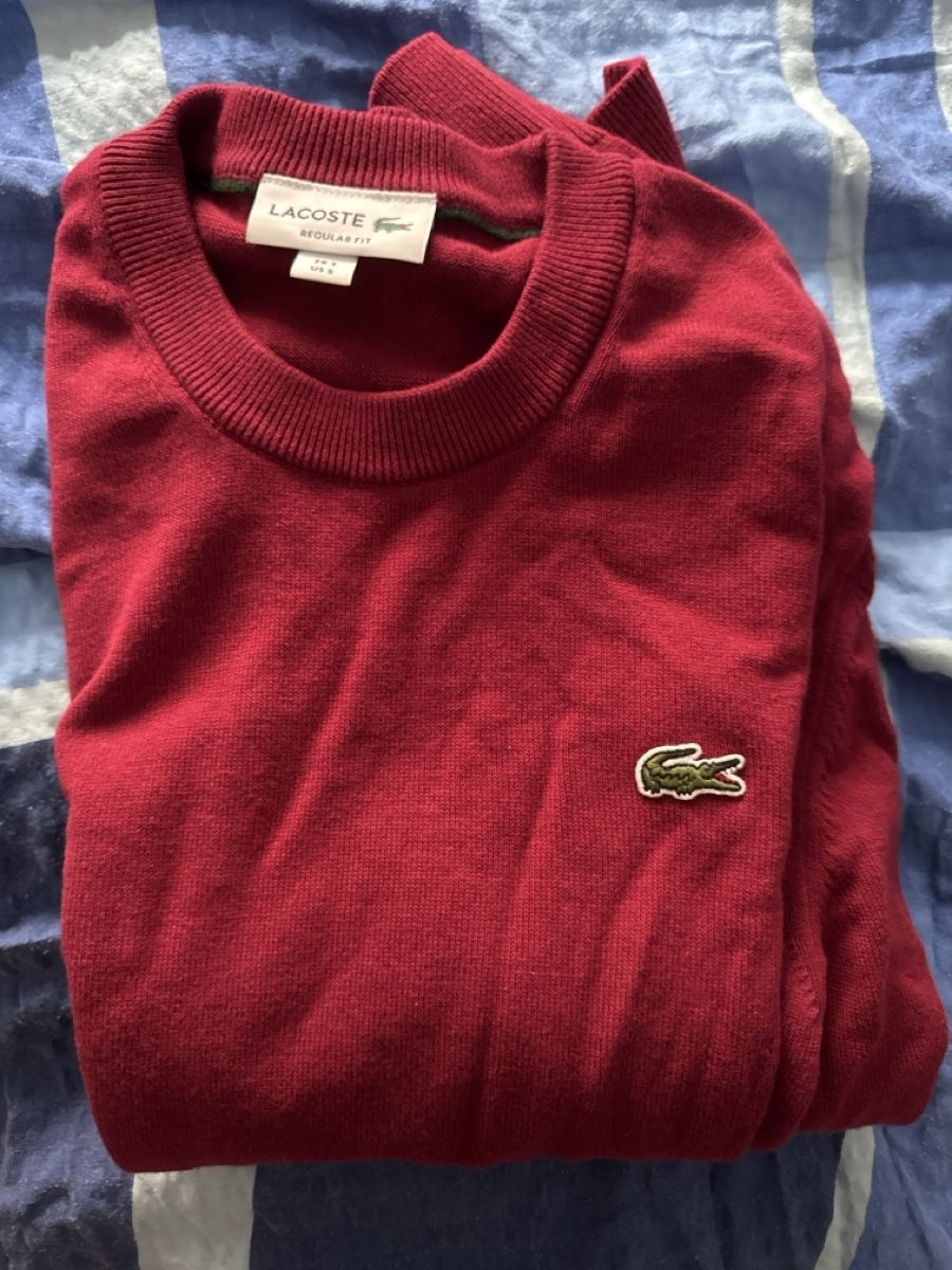 Lacoste Pullover & Sweatshirts: Lacoste Pullover Grösse s regular fit – Neu (gemäss Beschreibung) aus Baar von pjmaradona