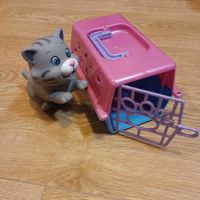 süsse Spielkatze mit Transportbox